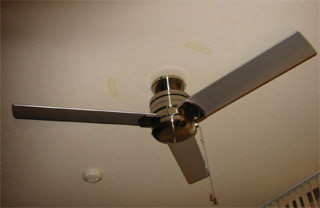 0626fan2.jpg