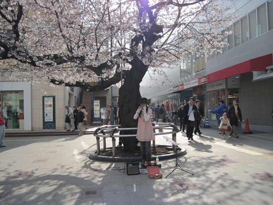 20100403Sakura.jpg